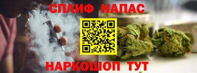 крисы Аша