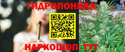 тгк Ачхой-Мартан