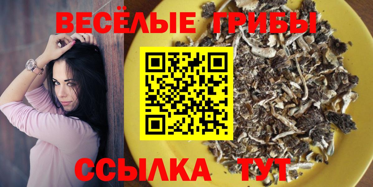 Псилоцибиновые грибы мухоморы Кириши