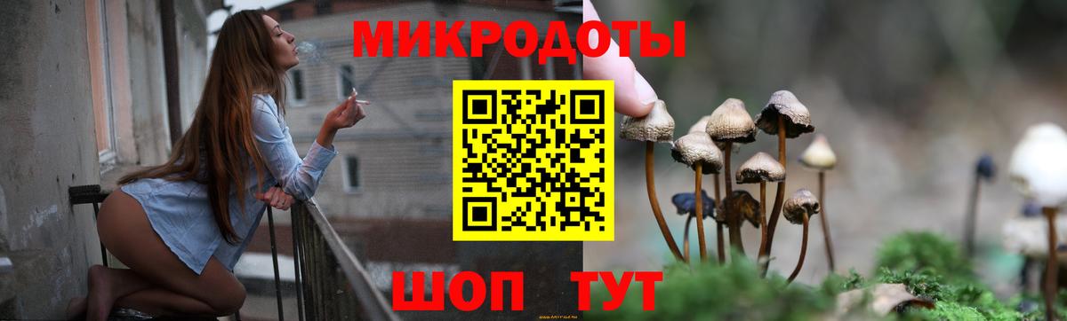 Кириши  цена наркотик  Вход с VPN  Псилоцибиновые грибы GOLDEN TEACHER 